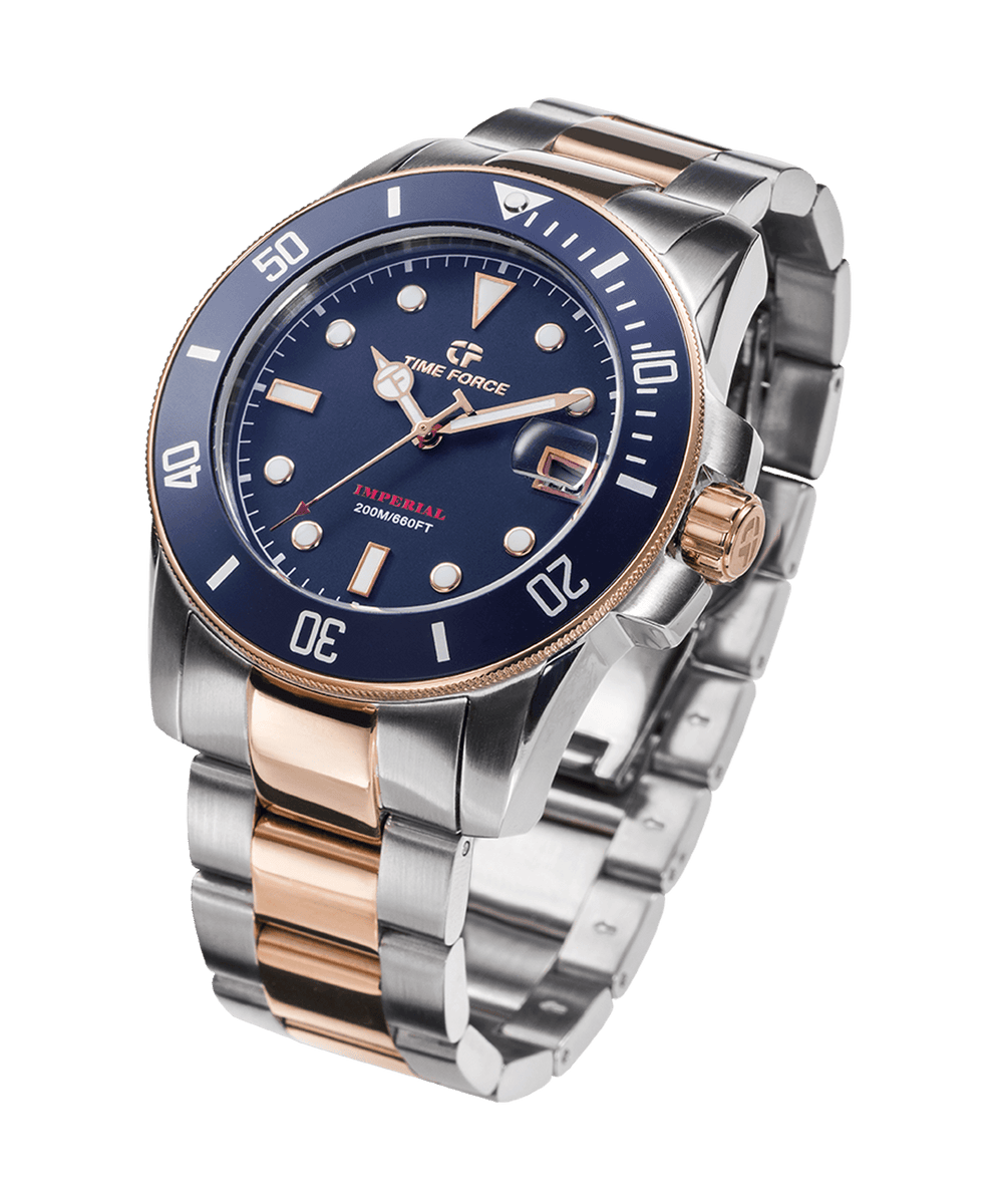 Time Force Bicolor Stainless Steel Broch main image 0